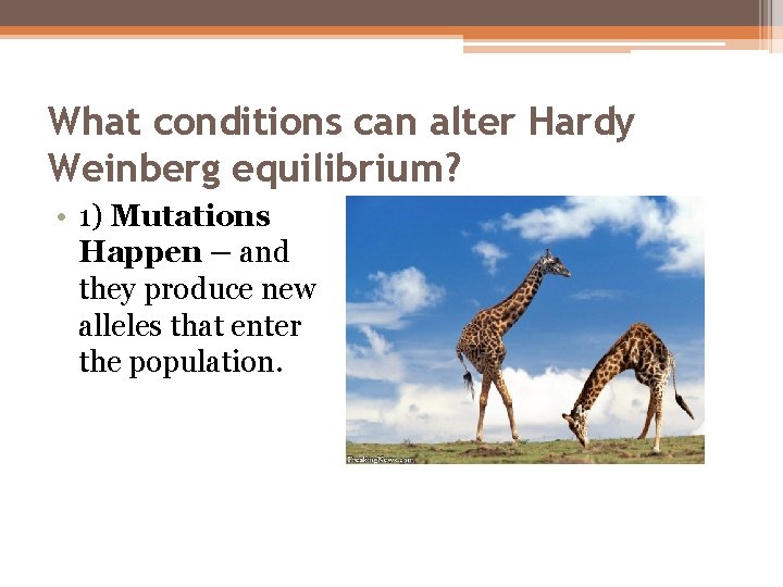 What conditions can alter Hardy Weinberg equilibrium? • 1) Mutations Happen – and they