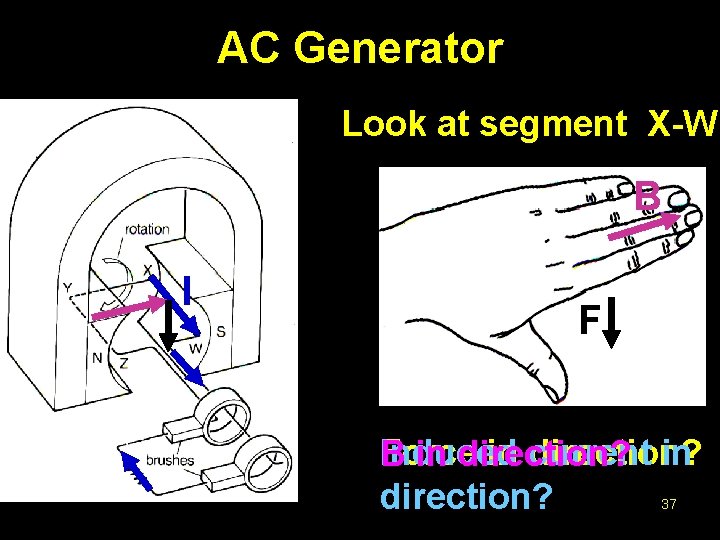 AC Generator Look at segment X-W B I F Force in current direction? Induced
