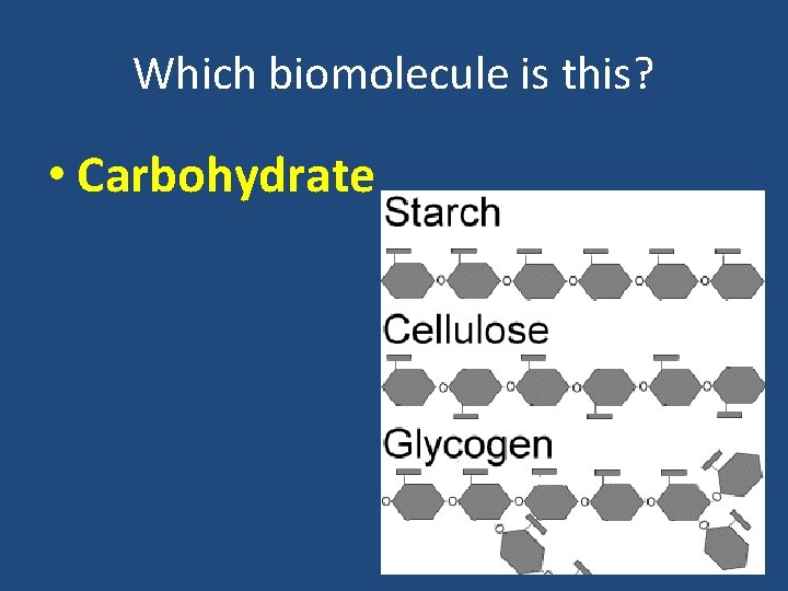 Which biomolecule is this? • Carbohydrate 