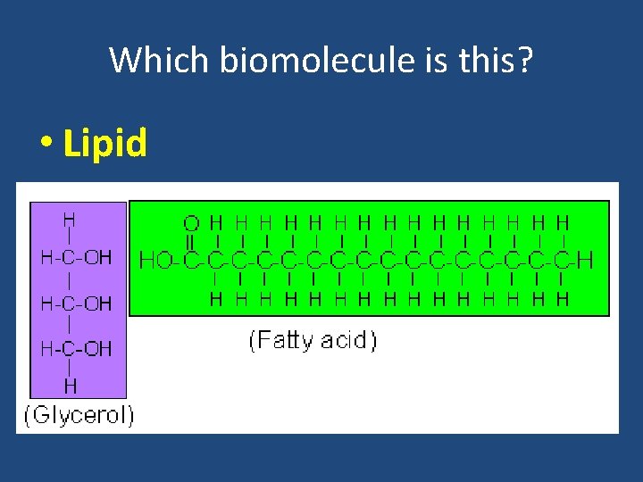 Which biomolecule is this? • Lipid 