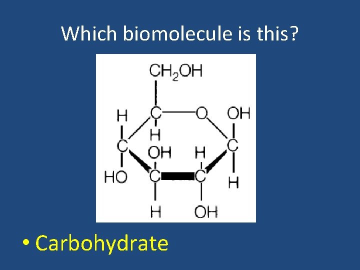 Which biomolecule is this? • Carbohydrate 