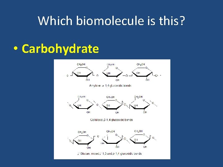 Which biomolecule is this? • Carbohydrate 