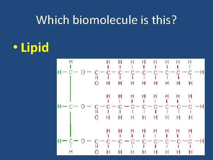 Which biomolecule is this? • Lipid 