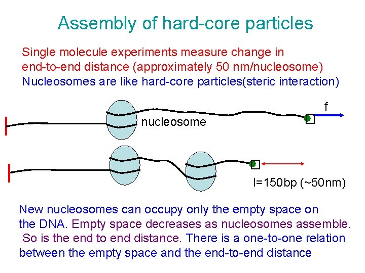 Assembly of hard-core particles Single molecule experiments measure change in end-to-end distance (approximately 50