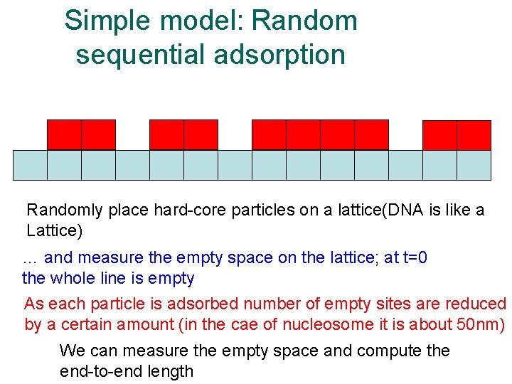 Simple model: Random sequential adsorption Randomly place hard-core particles on a lattice(DNA is like Simple model: Random sequential adsorption Randomly place hard-core particles on a lattice(DNA is like