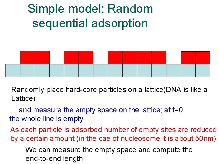 Simple model: Random sequential adsorption Randomly place hard-core particles on a lattice(DNA is like