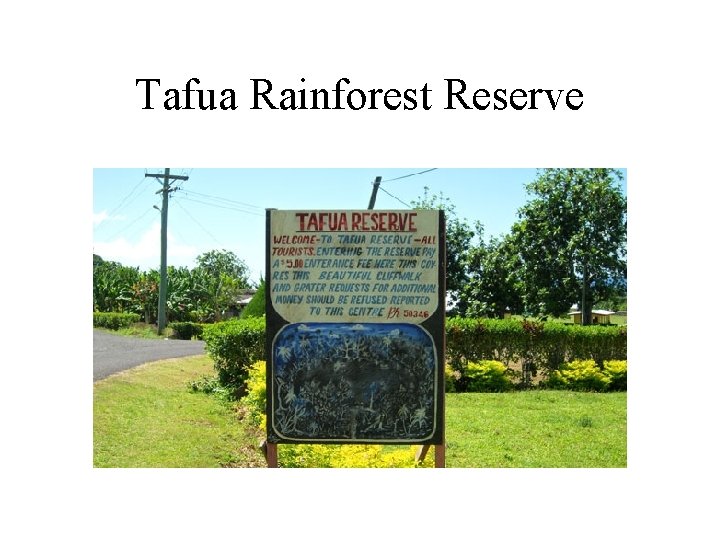 Tafua Rainforest Reserve 