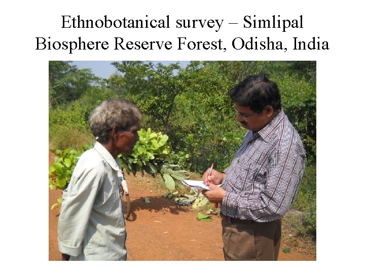 Ethnobotanical survey – Simlipal Biosphere Reserve Forest, Odisha, India 