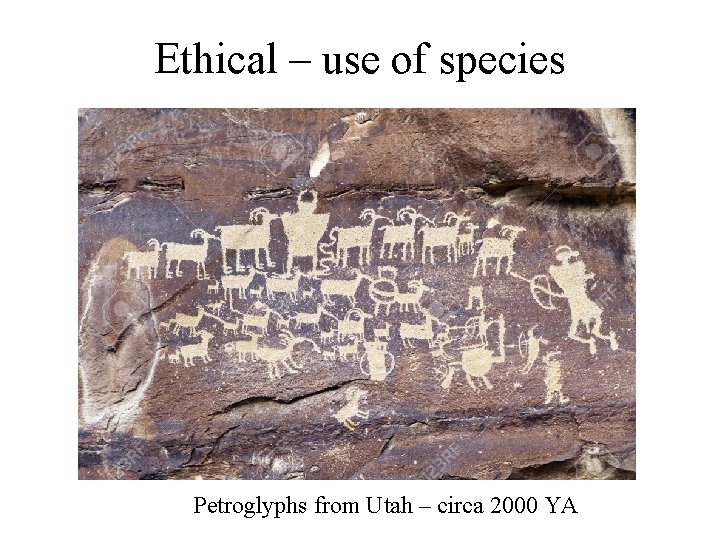 Ethical – use of species Petroglyphs from Utah – circa 2000 YA 