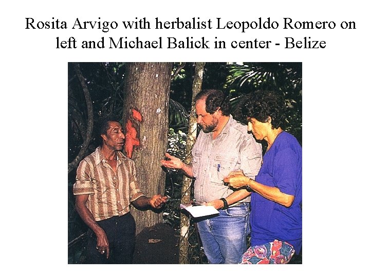 Rosita Arvigo with herbalist Leopoldo Romero on left and Michael Balick in center -