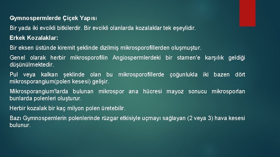 Gymnospermlerde Çiçek Yapısı Bir yada iki evcikli bitkilerdir. Bir evcikli olanlarda kozalaklar tek eşeylidir.