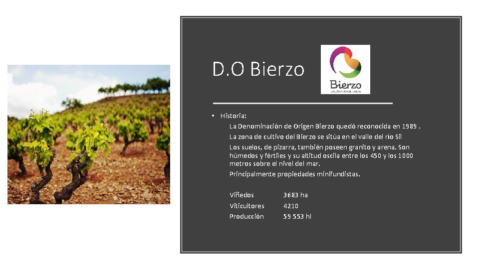 D. O Bierzo • Historia: La Denominación de Origen Bierzo quedó reconocida en 1989.