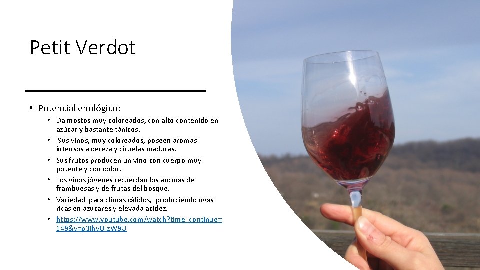 Petit Verdot • Potencial enológico: • Da mostos muy coloreados, con alto contenido en