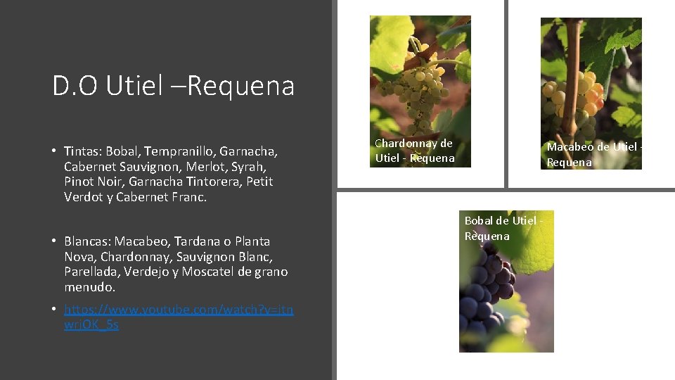 D. O Utiel –Requena • Tintas: Bobal, Tempranillo, Garnacha, Cabernet Sauvignon, Merlot, Syrah, Pinot