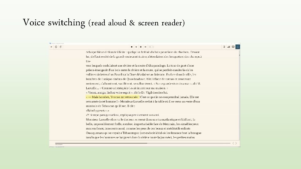 Voice switching (read aloud & screen reader) 