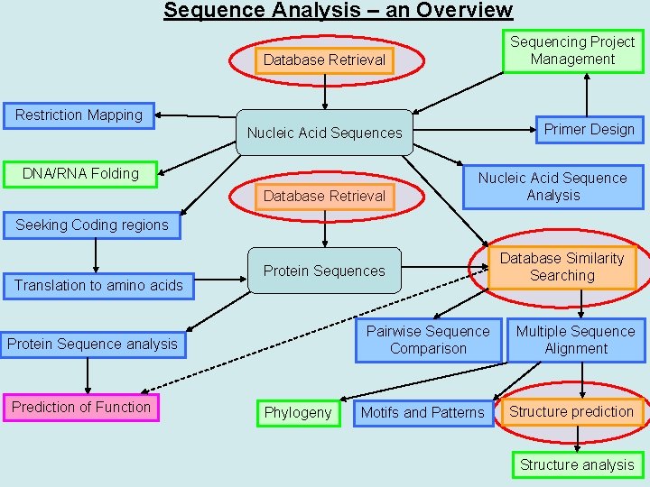 Sequence Analysis – an Overview Sequencing Project Management Database Retrieval Restriction Mapping Primer Design