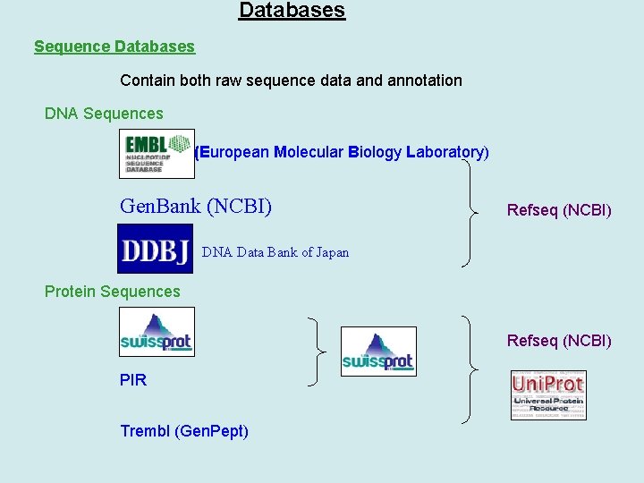 Databases Sequence Databases Contain both raw sequence data and annotation DNA Sequences (European Molecular