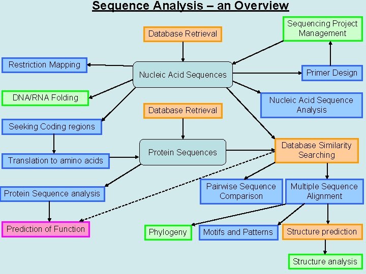 Sequence Analysis – an Overview Sequencing Project Management Database Retrieval Restriction Mapping Primer Design