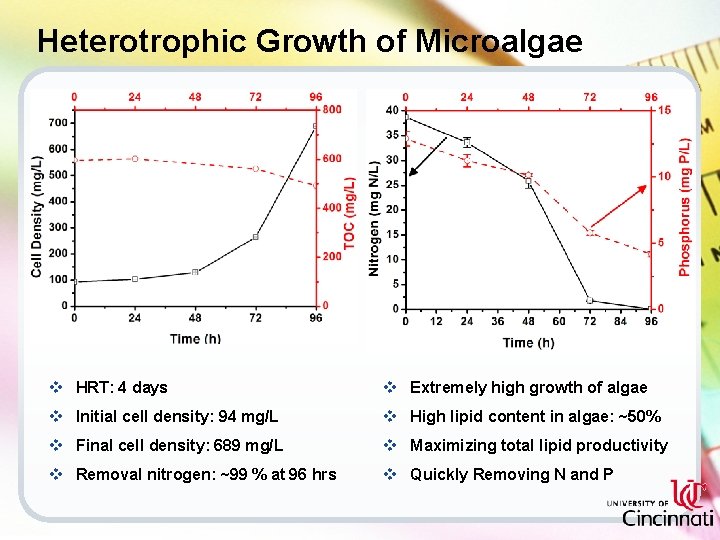Heterotrophic Growth of Microalgae v HRT: 4 days v Extremely high growth of algae