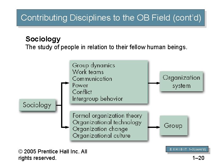 Contributing Disciplines to the OB Field (cont’d) Sociology The study of people in relation