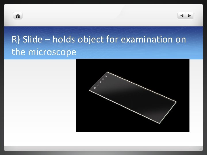 R) Slide – holds object for examination on the microscope 