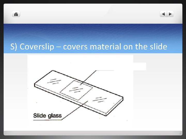 S) Coverslip – covers material on the slide 