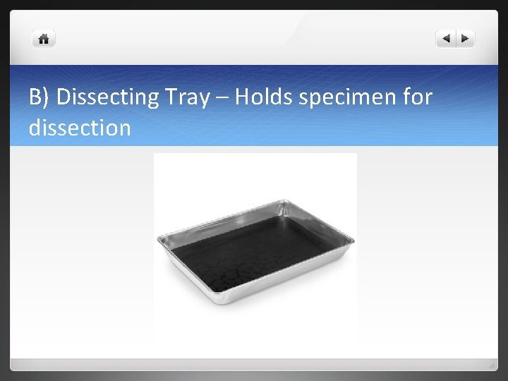 B) Dissecting Tray – Holds specimen for dissection 