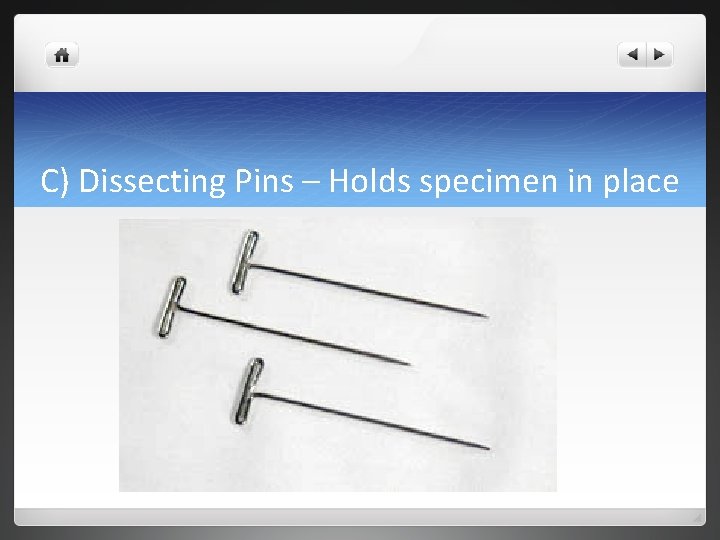 C) Dissecting Pins – Holds specimen in place 