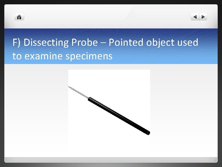 F) Dissecting Probe – Pointed object used to examine specimens 