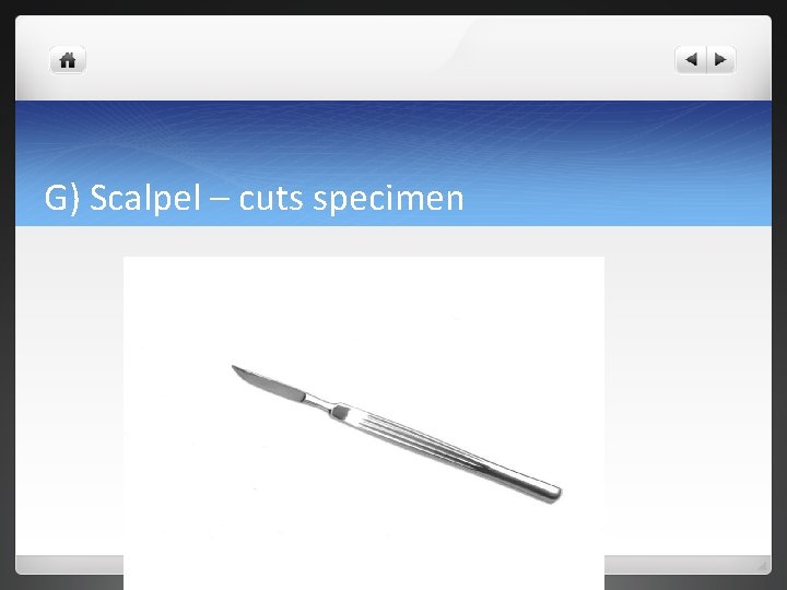 G) Scalpel – cuts specimen 