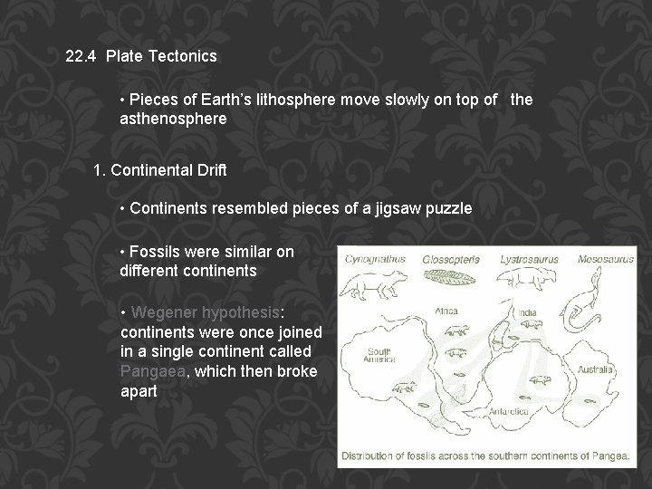 22. 4 Plate Tectonics • Pieces of Earth’s lithosphere move slowly on top of