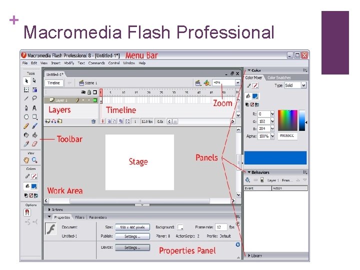 + Macromedia Flash Professional 