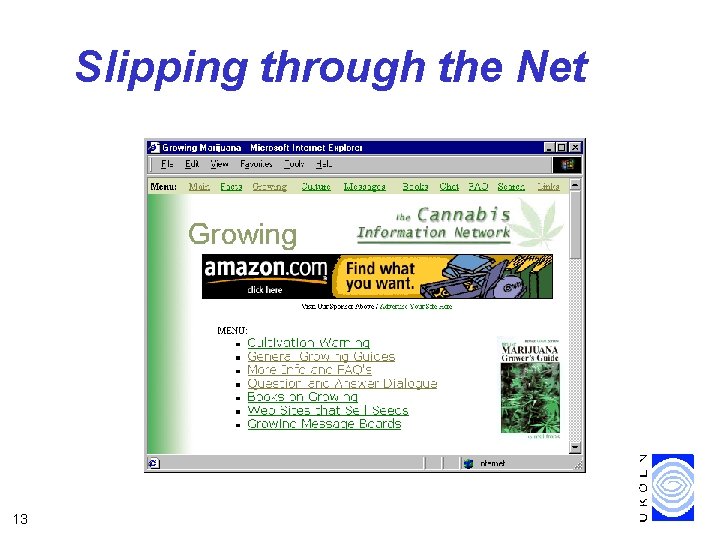 Slipping through the Net 13 