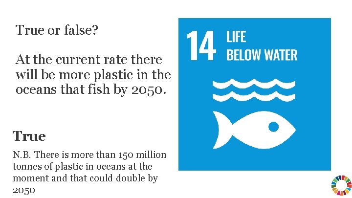 True or false? At the current rate there will be more plastic in the True or false? At the current rate there will be more plastic in the