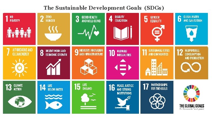 The Sustainable Development Goals (SDGs) 