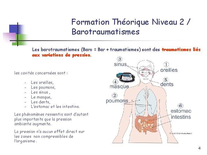 Formation Théorique Niveau 2 / Barotraumatismes Les barotraumatismes (Baro = Bar + traumatismes) sont