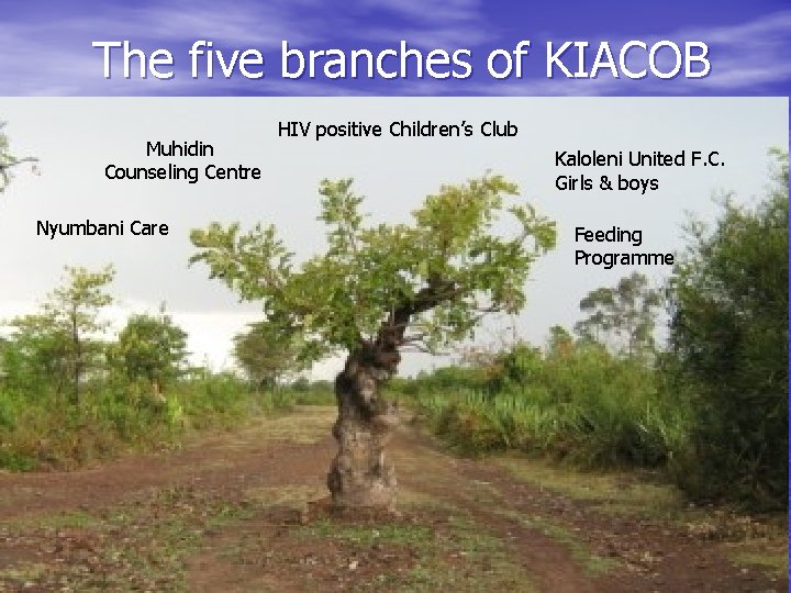 The five branches of KIACOB Muhidin Counseling Centre Nyumbani Care HIV positive Children’s Club