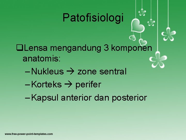 Patofisiologi q. Lensa mengandung 3 komponen anatomis: – Nukleus zone sentral – Korteks perifer