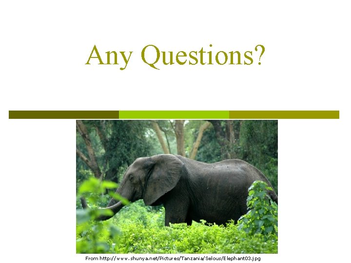 Any Questions? From http: //www. shunya. net/Pictures/Tanzania/Selous/Elephant 03. jpg 