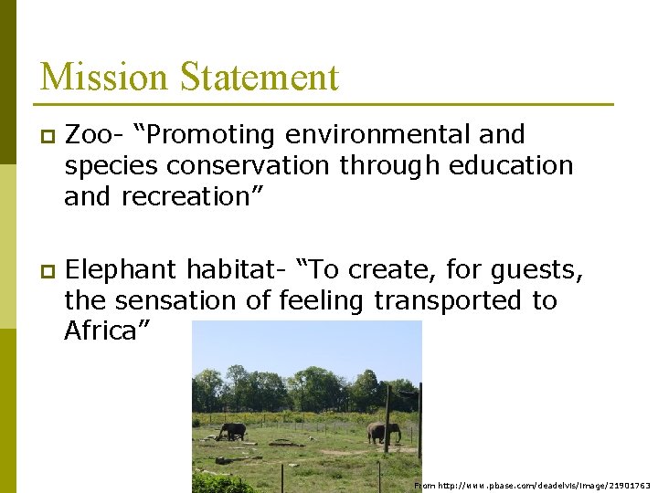 Mission Statement p Zoo- “Promoting environmental and species conservation through education and recreation” p