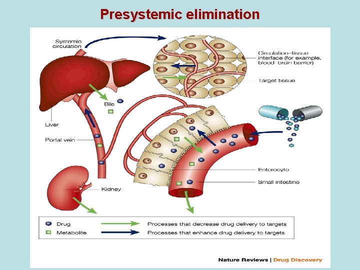 Presystemic elimination Presystemic elimination
