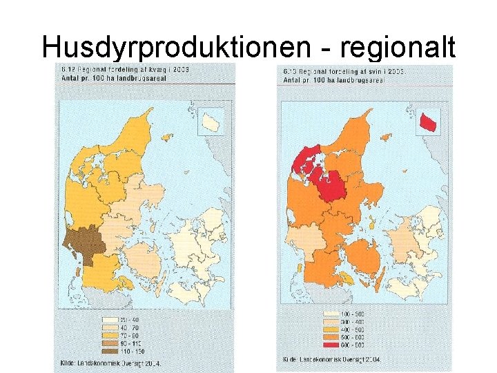 Husdyrproduktionen - regionalt 