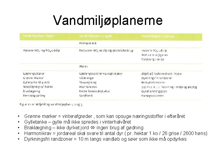 Vandmiljøplanerne • • • Grønne marker = vinterafgrøder , som kan opsuge næringsstoffer i