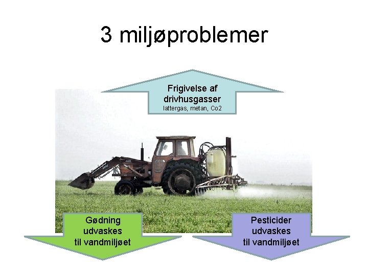 3 miljøproblemer Frigivelse af drivhusgasser lattergas, metan, Co 2 Gødning udvaskes til vandmiljøet Pesticider