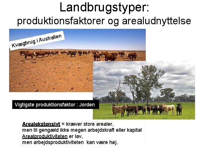 Landbrugstyper: produktionsfaktorer og arealudnyttelse lien b Kvæg stra u A i rug Vigtigste produktionsfaktor