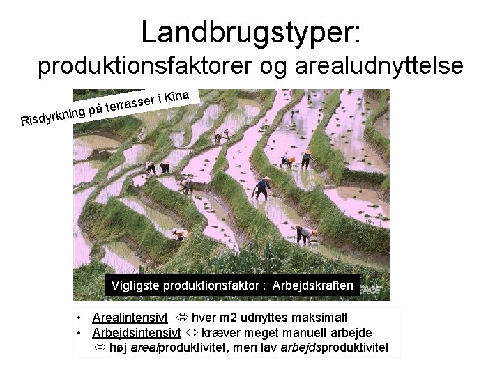 Landbrugstyper: produktionsfaktorer og arealudnyttelse er i Kin s s a r r e åt