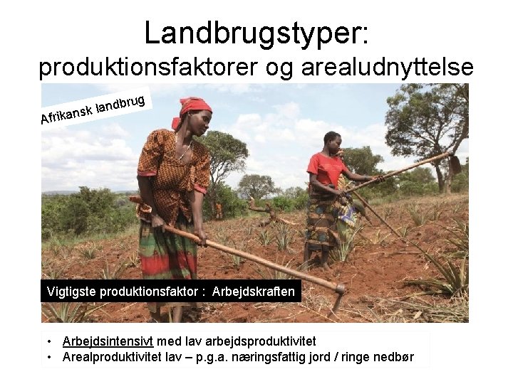Landbrugstyper: produktionsfaktorer og arealudnyttelse ug ndbr a l k s frikan A Vigtigste produktionsfaktor