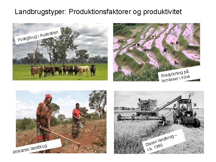 Landbrugstyper: Produktionsfaktorer og produktivitet n stralie u ug i A r b g æ