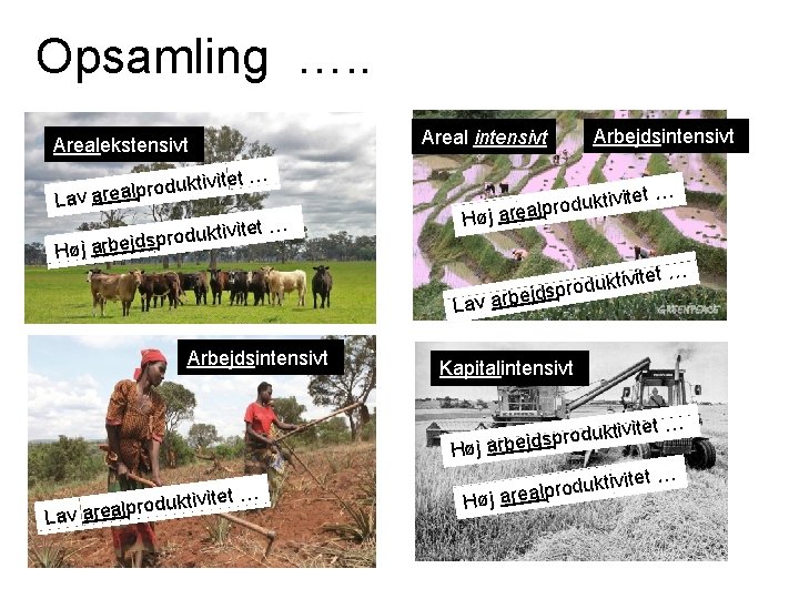 Opsamling …. . Areal intensivt Arealekstensivt ivitet … dukt o r lp a e