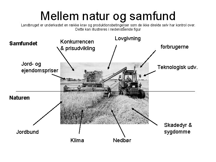Mellem natur og samfund Landbruget er underkastet en række krav og produktionsbetingelser som de